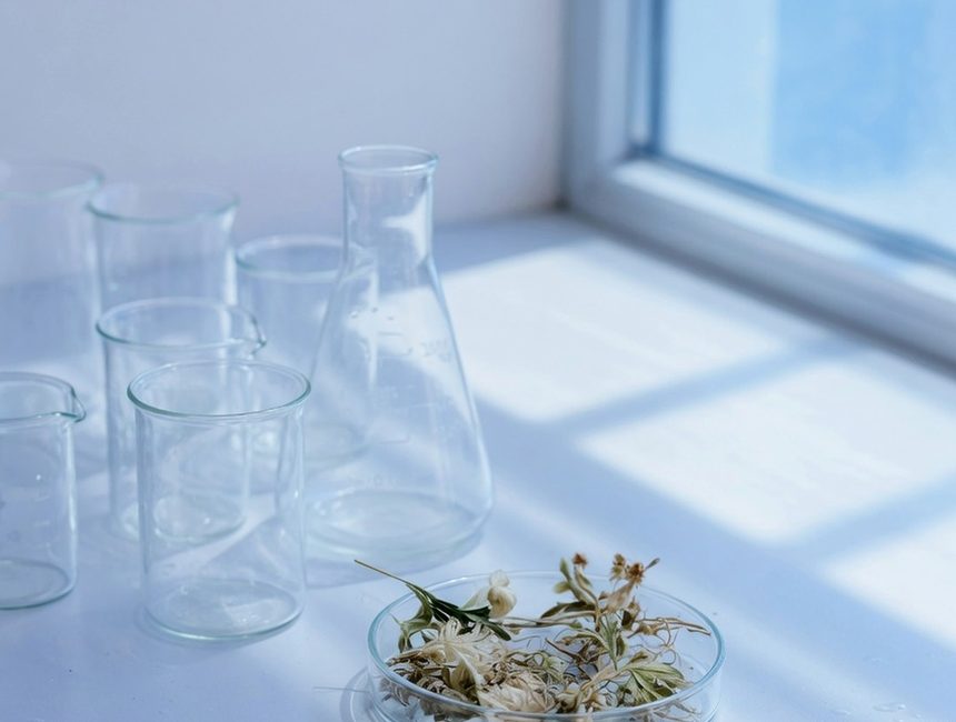 Symbolbild: Laborglas und getrocknetes Pflanzenmaterial