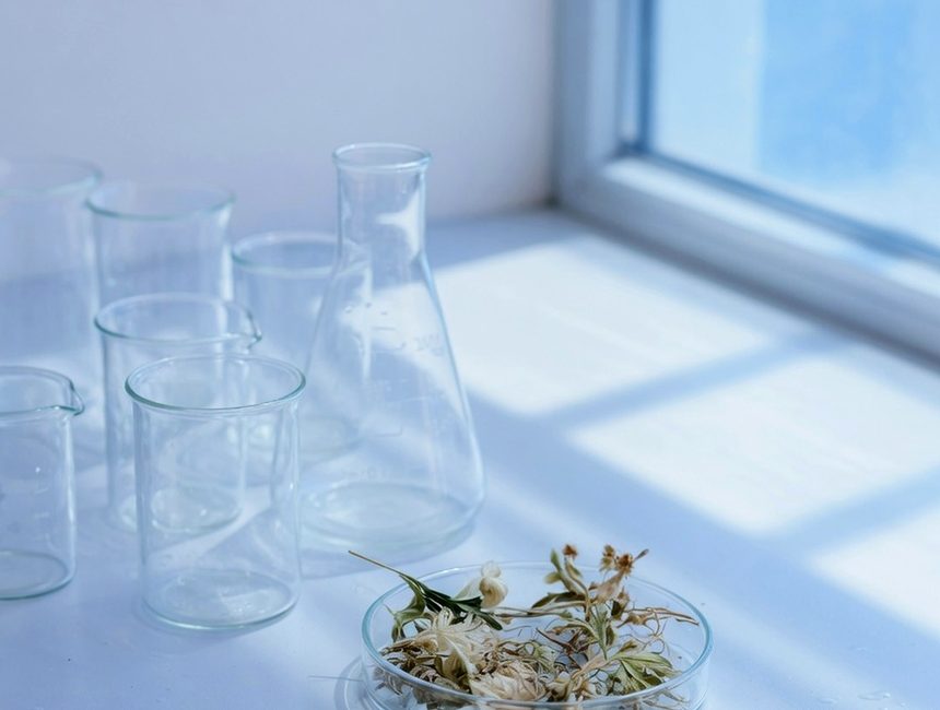 Immagine illustrativa: vetreria da laboratorio e materiale vegetale