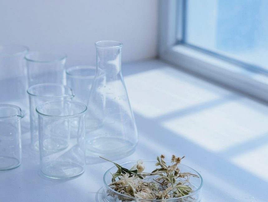 Iliustracinė nuotrauka: laboratoriniai indai ir džiovinta augalinė žaliava